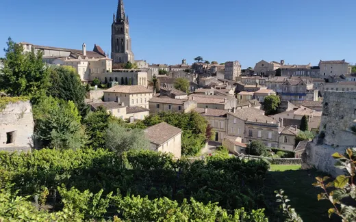 Blick über die Dächer von Saint-Émilion mit Kirchturm, im Vordergrund Rebzeilen
